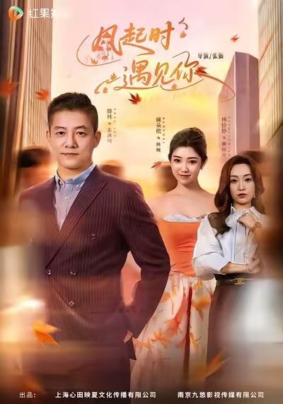 风起时遇见你