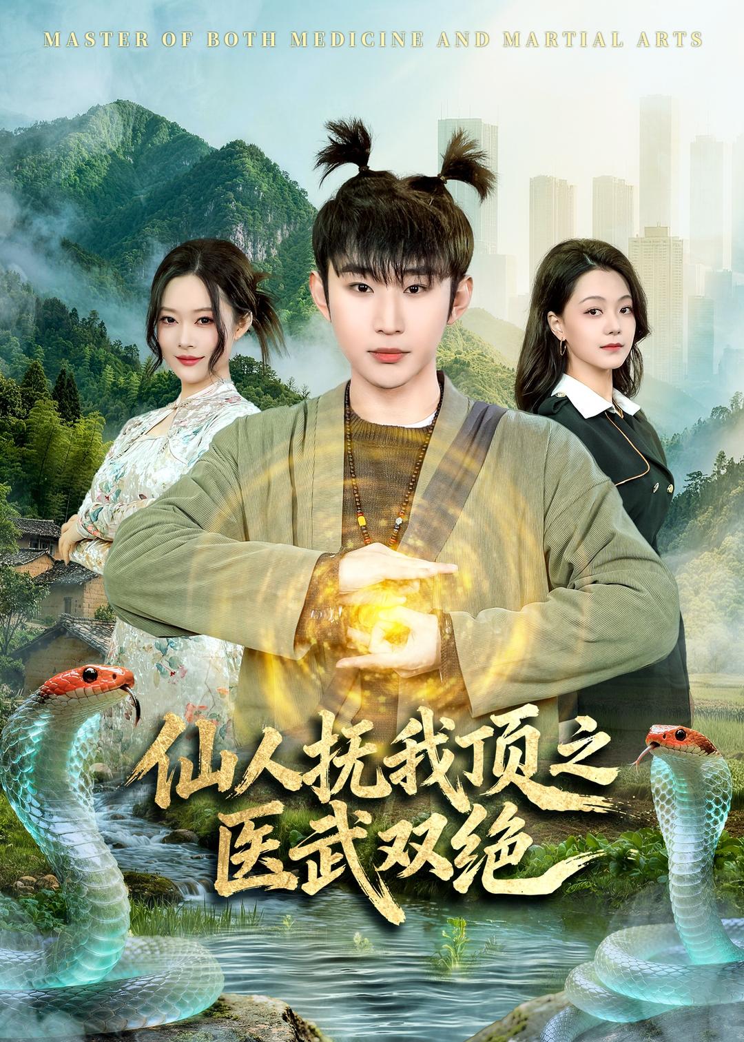 仙人抚我顶之医武双绝