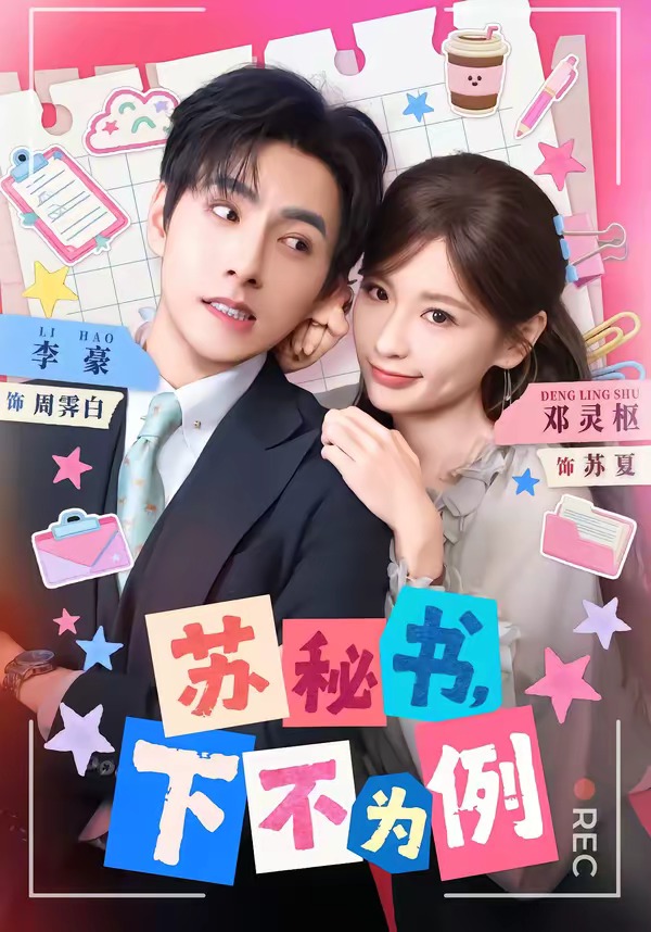 苏秘书，下不为例
